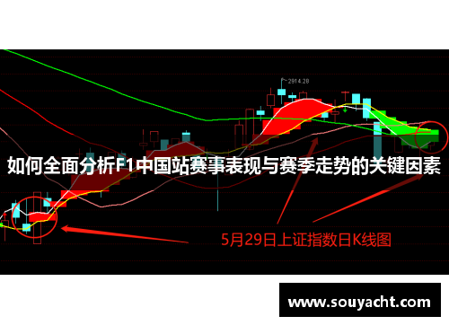 如何全面分析F1中国站赛事表现与赛季走势的关键因素