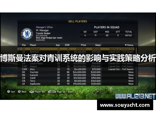 博斯曼法案对青训系统的影响与实践策略分析